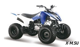 Квадроцикл ATV Pantera 200 CVT Квадроцикл ATV Pantera 200 CVT