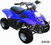 Квадроцикл бензиновый MOTAX Mikro 110 сс