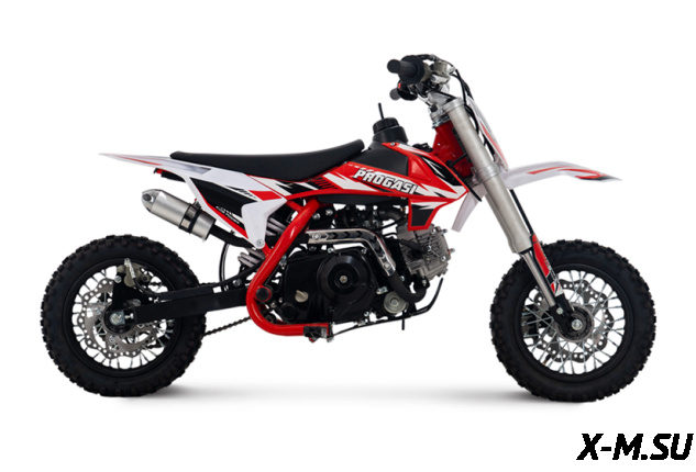Питбайк Progasi KIDS POWER 110 (10/12)