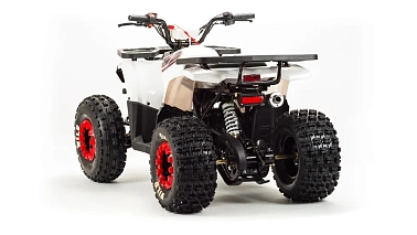 Квадроцикл MOTOLAND (МОТОЛЕНД) 125 WILD