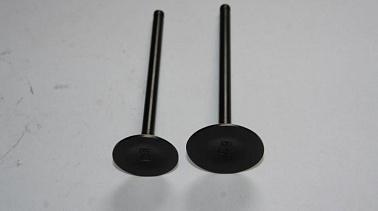 Клапаны ГРМ 162FMJ,164FML,166FML,166FMM,167FMM,170FMM(CGN/NT/CBN/CBB